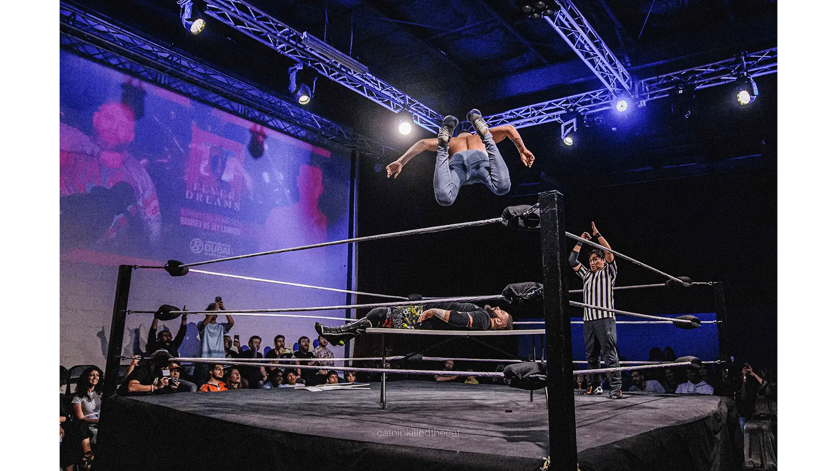 Dubai Pro Wrestling